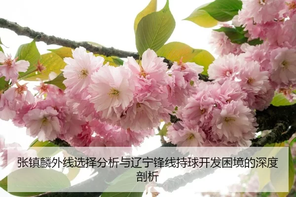 张镇麟外线选择分析与辽宁锋线持球开发困境的深度剖析