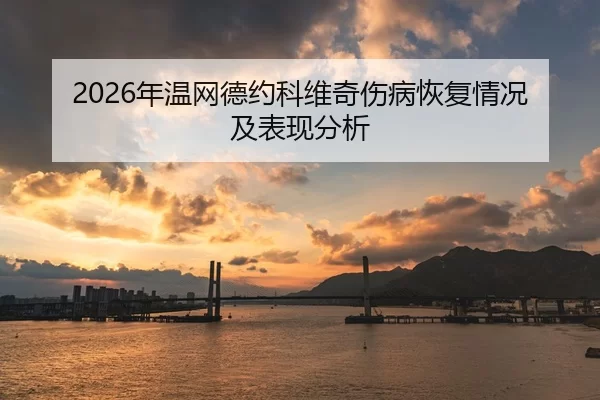 2026年温网德约科维奇伤病恢复情况及表现分析