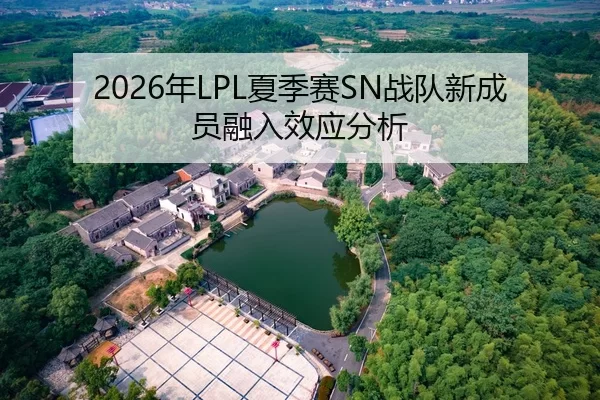 2026年LPL夏季赛SN战队新成员融入效应分析