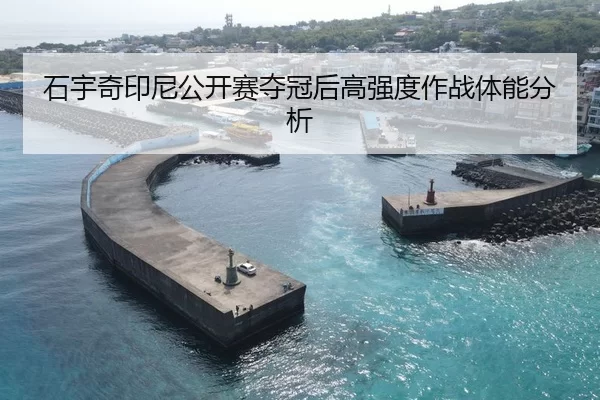 石宇奇印尼公开赛夺冠后高强度作战体能分析
