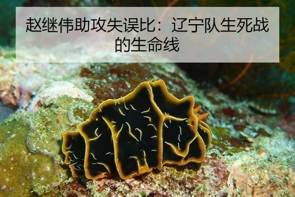 赵继伟助攻失误比：辽宁队生死战的生命线