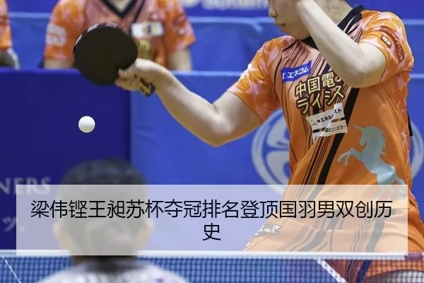 liang-wei-keng-wang-chang-su-bei-duo-guan-pai-ming-deng-ding-guo-yu-nan-shuang-chuang-li-shi-3-941.jpg