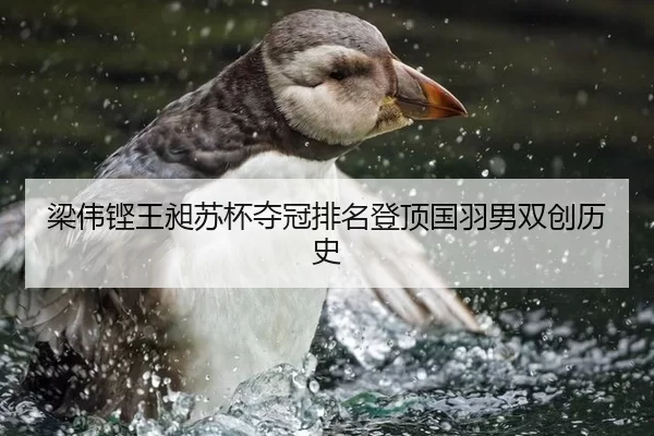 梁伟铿王昶苏杯夺冠排名登顶国羽男双创历史